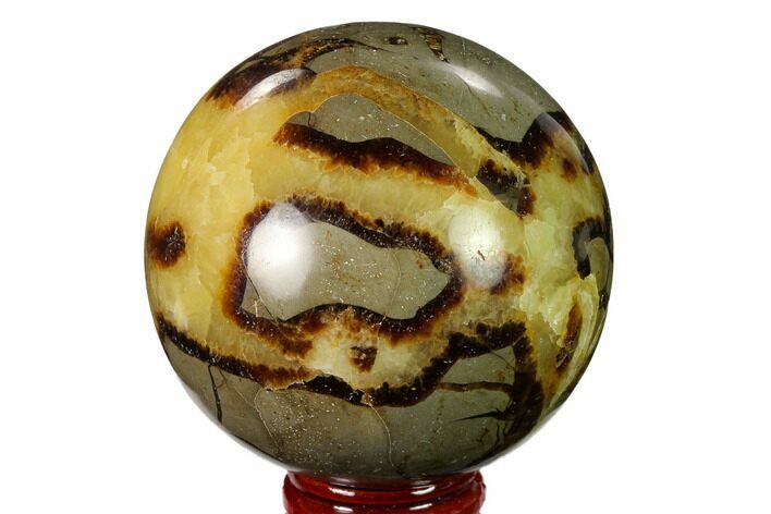 Polished Septarian Sphere - Madagascar #154139